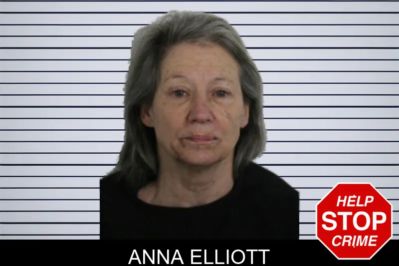 Anna Elliott mugshot