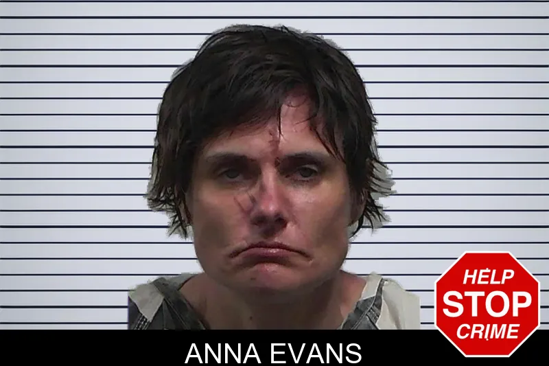 Anna Evans mugshot