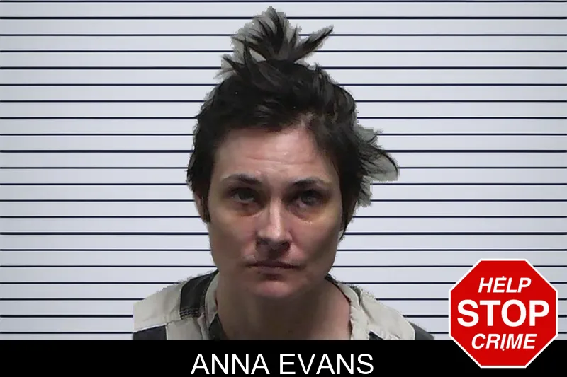 Anna Evans mugshot