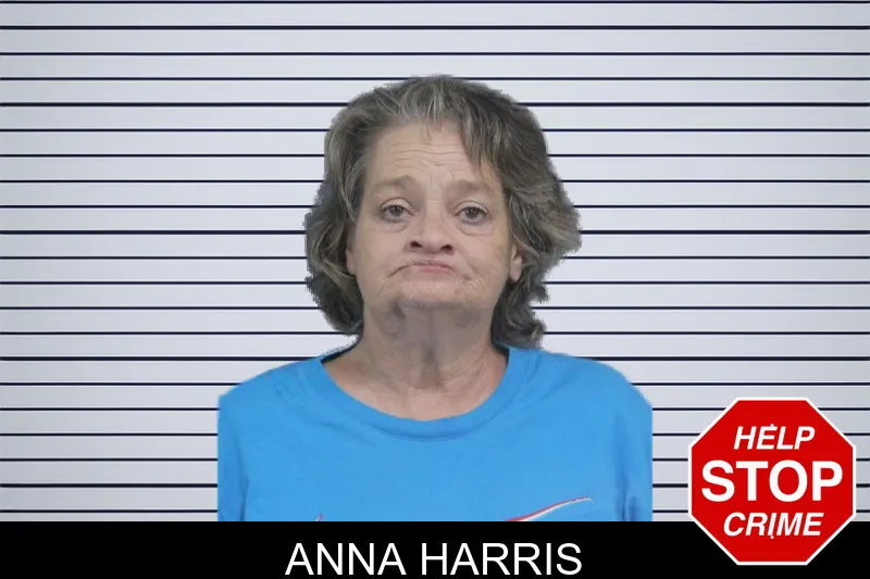 Anna Harris mugshot – Catoosa County , Georgia Anna Harris mugshot