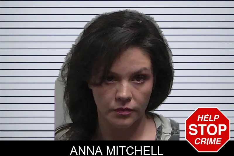 Anna Mitchell mugshot