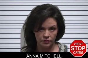 Anna Mitchell mugshot