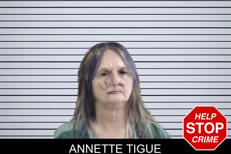 Annette Tigue mugshot – Whitfield County , Georgia Annette Tigue mugshot