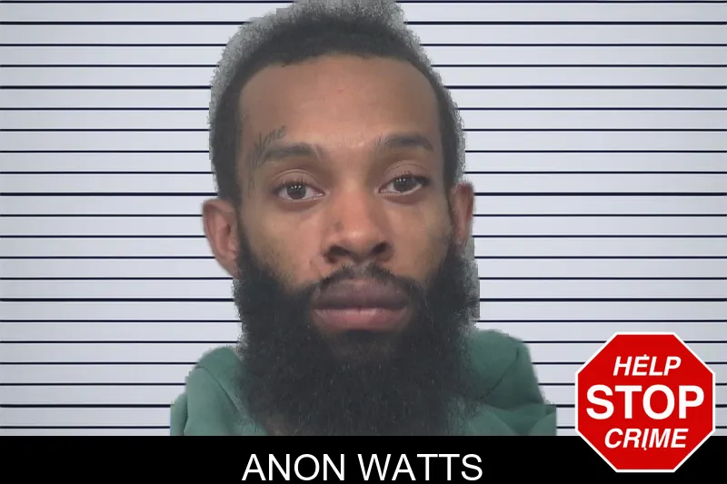 Anon Watts mugshot