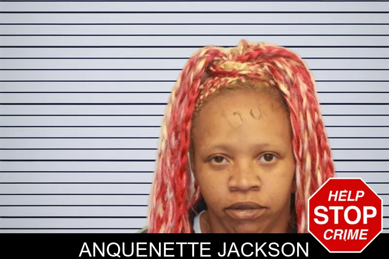 Anquenette Jackson mugshot – Chatham County , Georgia Anquenette Jackson mugshot