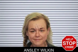 Ansley Wilkin mugshot