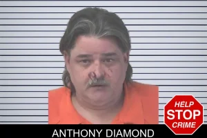Anthony Diamond mugshot