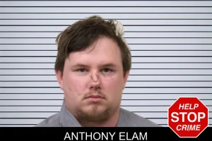 Anthony Elam mugshot