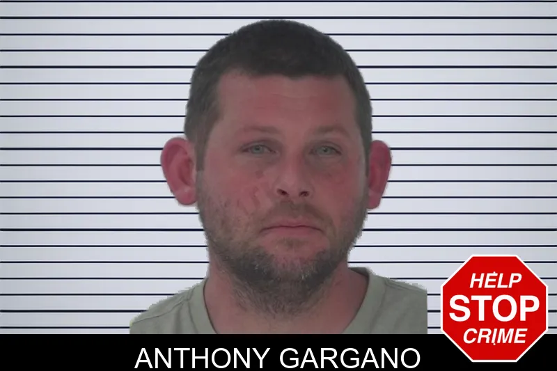 Anthony Gargano mugshot – Fayette County , Georgia Anthony Gargano mugshot