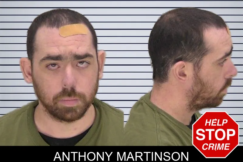 Anthony Martinson mugshot