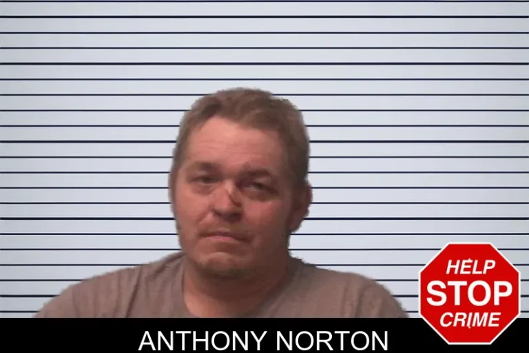 Anthony Norton mugshot – Franklin County , Georgia Anthony Norton