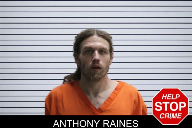 Anthony Raines mugshot β Lumpkin County , Georgia Anthony Raines