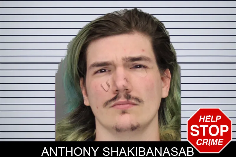Anthony Shakibanasab mugshot