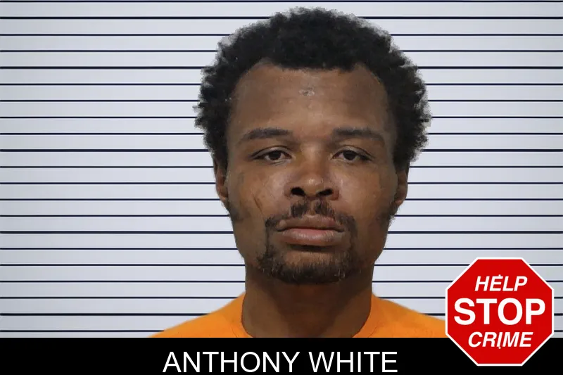 Anthony White mugshot – Bibb County , Georgia Anthony White mugshot