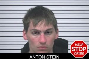 Anton Stein mugshot