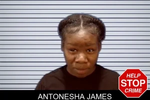 Antonesha James mugshot