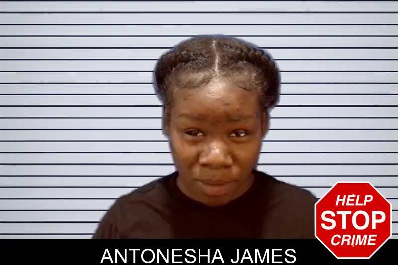 Antonesha James mugshot