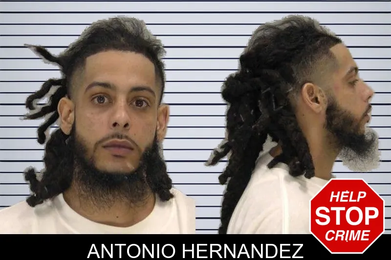Antonio Hernandez mugshot