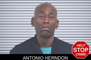 Antonio Herndon mugshot