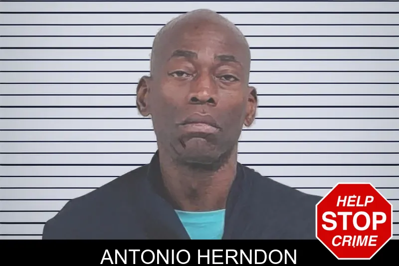 Antonio Herndon mugshot – Lowndes County , Georgia Antonio Herndon mugshot