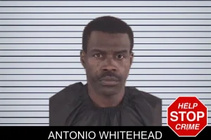 Antonio Whitehead mugshot