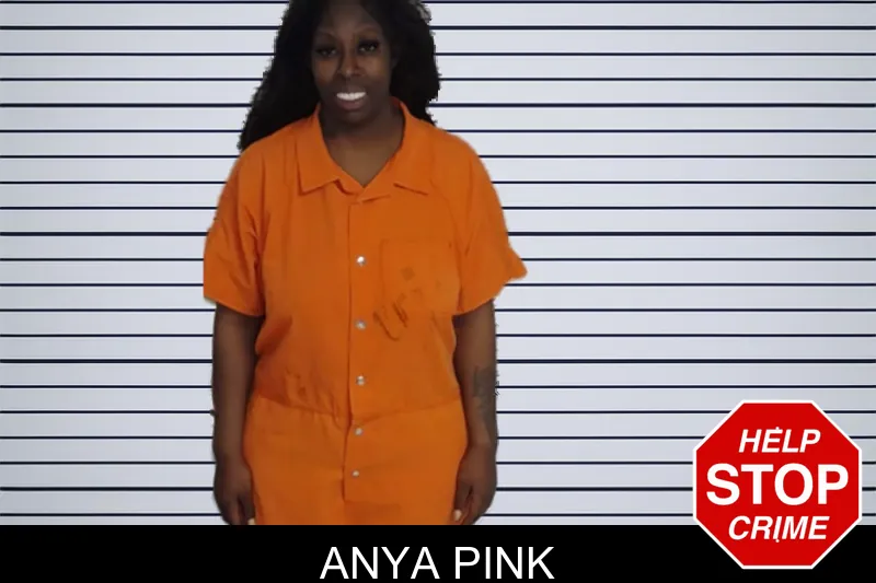 Anya Pink mugshot