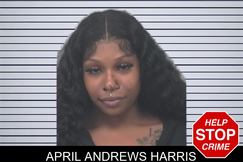 April Andrews Harris mugshot