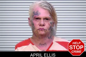 April Ellis mugshot