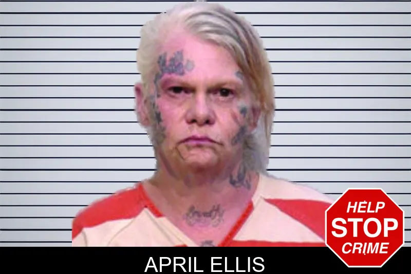 April Ellis mugshot – Bartow County , Georgia April Ellis mugshot