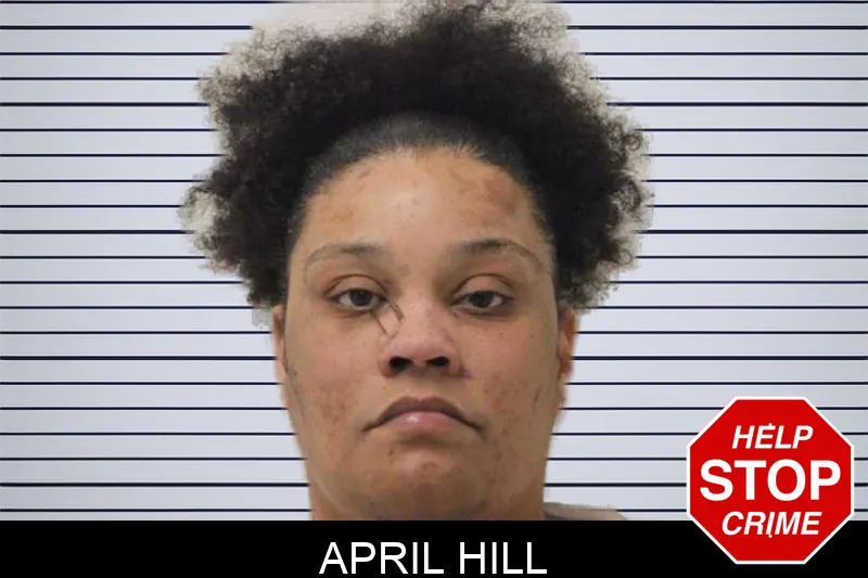 April Hill mugshot