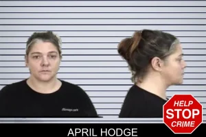 April Hodge mugshot