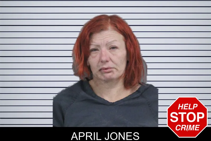 April Jones mugshot