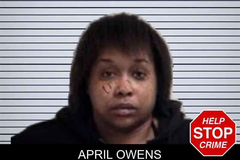 April Owens mugshot
