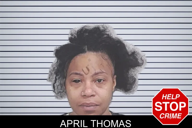 April Thomas mugshot