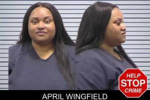 April Wingfield mugshot