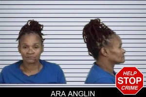 Ara Anglin mugshot