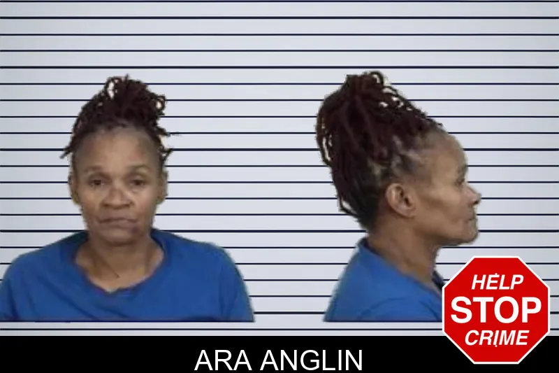 Ara Anglin mugshot
