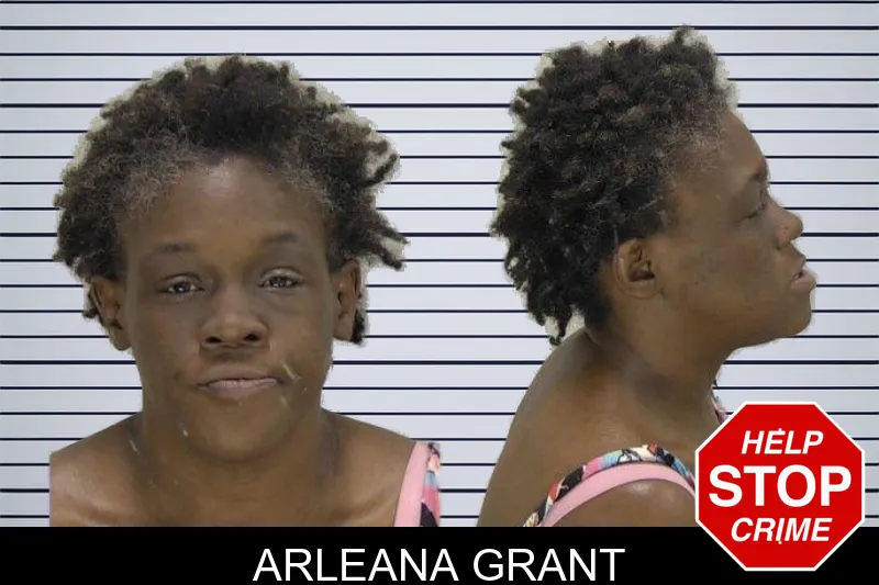 Arleana Grant mugshot