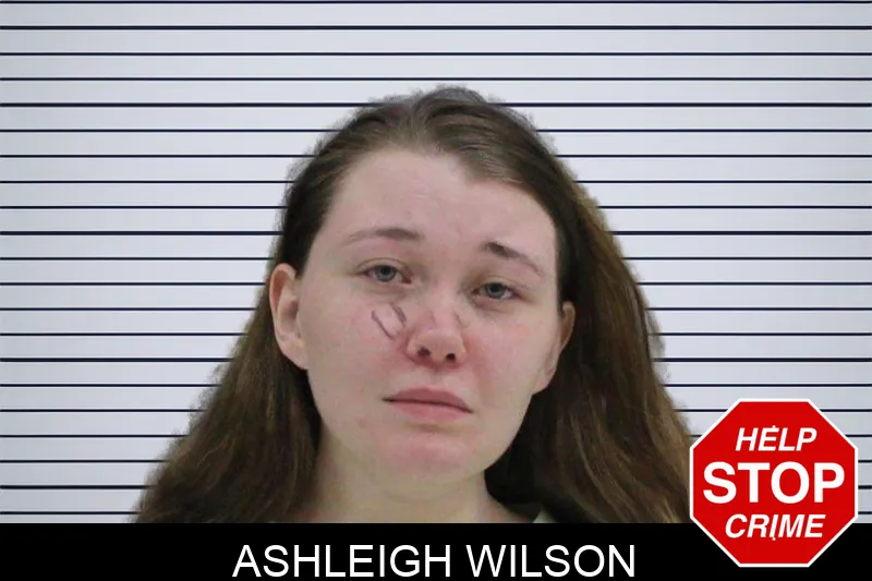 Ashleigh Wilson mugshot – Rabun County , Georgia Ashleigh Wilson mugshot