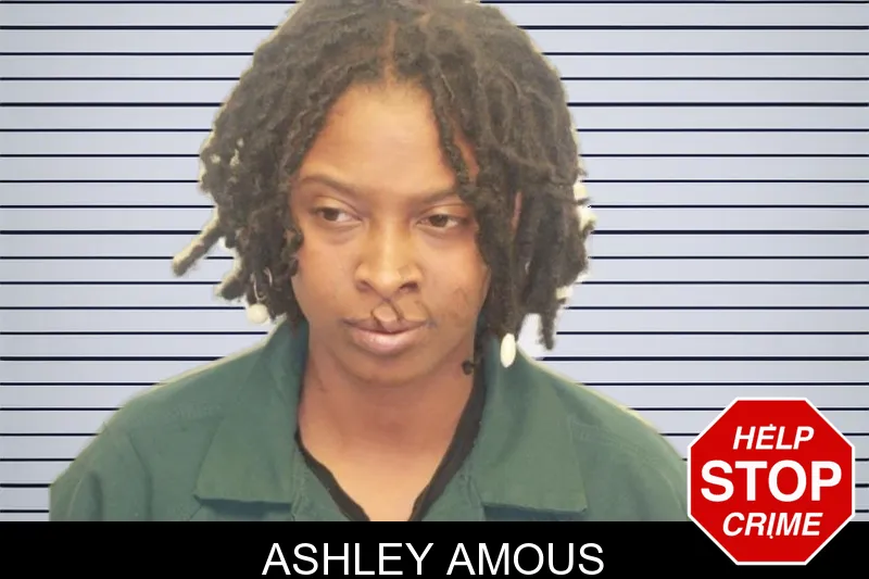 Ashley Amous mugshot