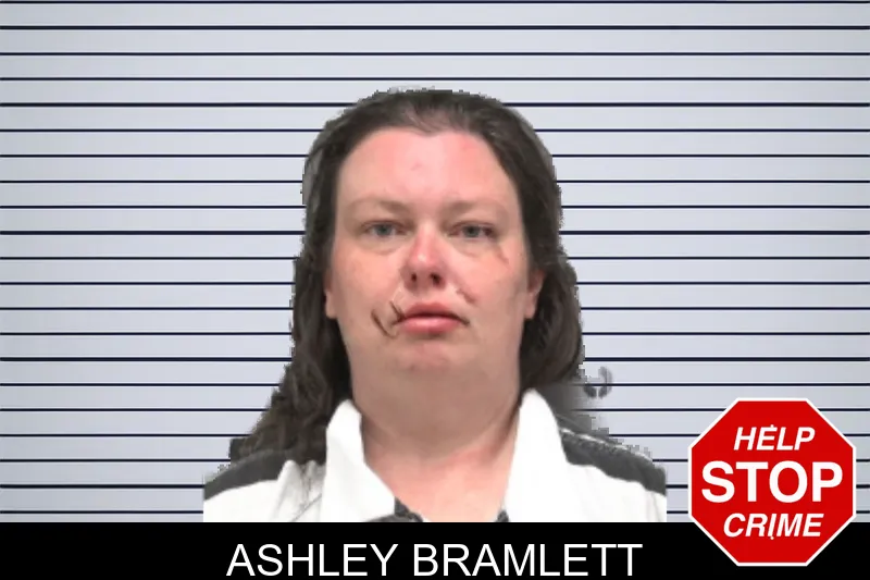 Ashley Bramlett mugshot