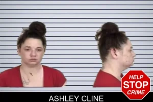 Ashley Cline mugshot