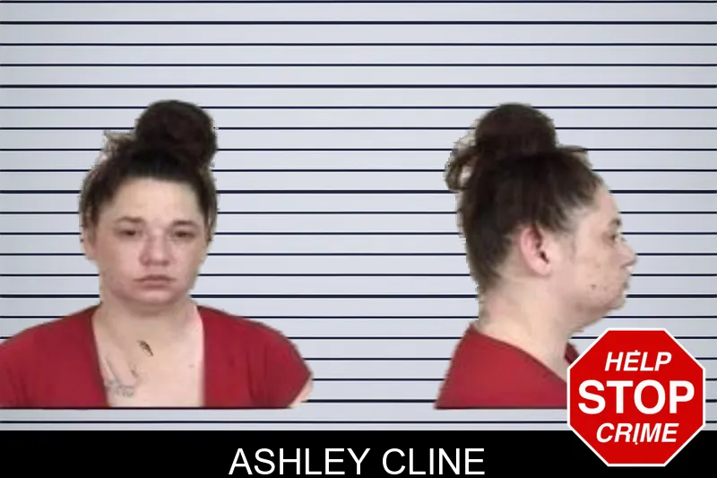 Ashley Cline mugshot