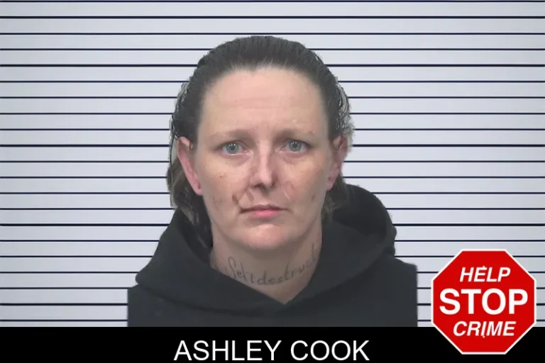 Ashley Cook mugshot β Gwinnett County , Georgia Ashley Cook