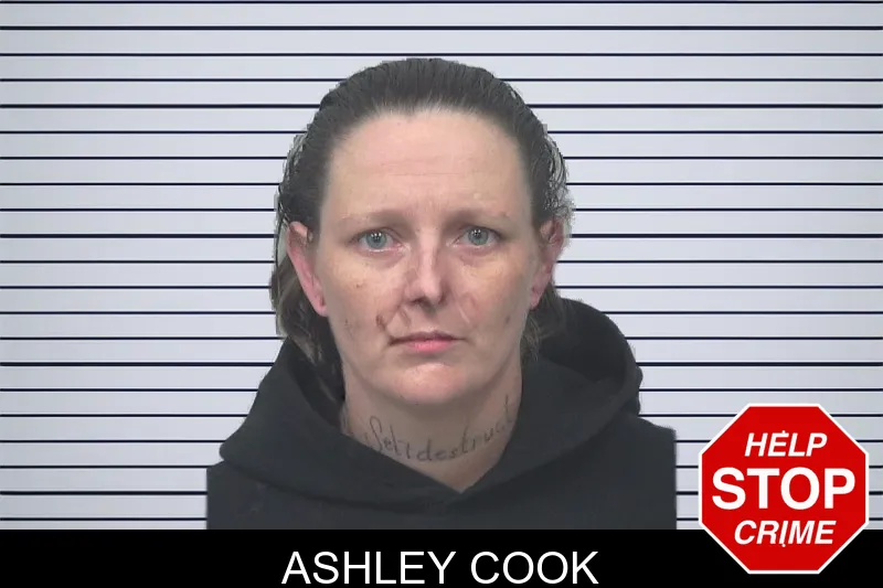 Ashley Cook mugshot – Gwinnett County , Georgia Ashley Cook mugshot