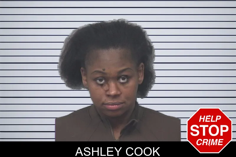 Ashley Cook mugshot
