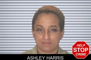Ashley Harris mugshot
