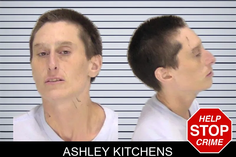 Ashley Kitchens mugshot