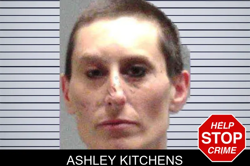 Ashley Kitchens mugshot