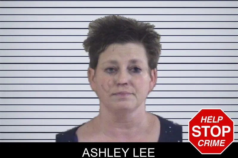Ashley Lee mugshot